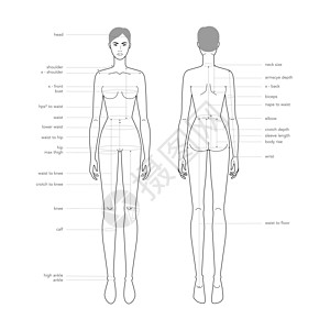 服装和首饰制作时装女时装女郎体大小图说明指服装和配件生产表身体衣服测量术语女性图表信息服饰尺寸女孩图片