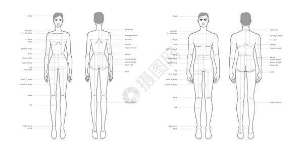 男女身体部和女性身体部分的名词测量术语计量表 服装和配件生产时装说明衣服图表男生臀部裁缝男性信息腰部女士缝纫图片