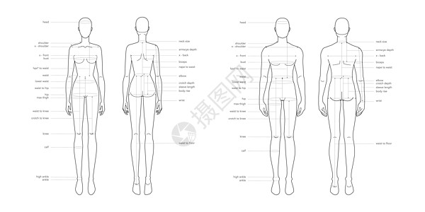 男女身体部和女性身体部分的名词测量术语计量表 服装和配件生产时装说明臀部草图女士男性裁缝缝纫收藏腰部信息插图图片