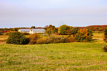 美丽的秋天风景 秋天树中的农场 丹麦村的房屋图片