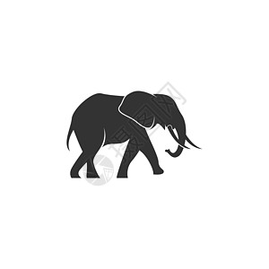 大象图标徽标标识设计插图艺术动物园婴儿黑色商业獠牙动物野生动物卡通片荒野图片