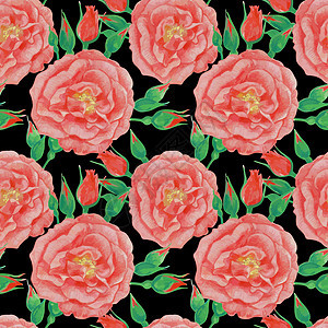红花 无缝模式 黑色背景的玫瑰 矢量图片