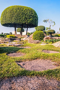 图片化的日本花园 中国华人花园顶级装饰设计灌木形式庭园旅行石头植物公园荒野热带闽南话寺庙盆景图片