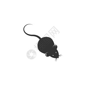 Rat 图标标志标识设计插图宠物哺乳动物实验室绘画动物荒野黑色害虫尾巴卡通片图片