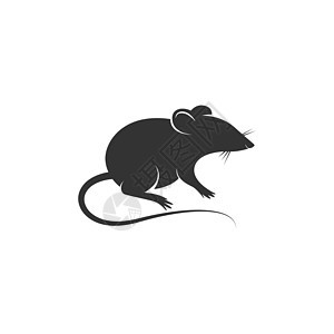 Rat 图标标志标识设计插图动物实验室野生动物尾巴荒野宠物害虫绘画卡通片黑色图片