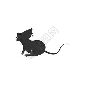 Rat 图标标志标识设计插图尾巴动物哺乳动物绘画卡通片实验室荒野害虫黑色野生动物图片