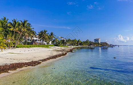 Playa Azul海滩棕榈海景全景 墨西哥坎昆旅行建筑物天堂热带码头蓝色情调酒店异国支撑图片