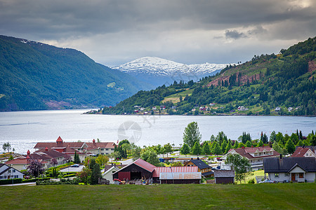 挪威农村和Sognefjord的分支农场野花假期目的地旅游乡村天空晴天山脉峡湾旅行图片