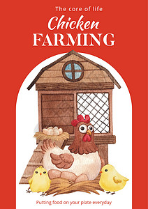 带有养鸡场食品概念 水色风格的海报模板家禽动物啤酒公鸡卡通片母鸡广告小册子餐厅村庄图片