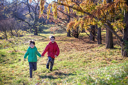 有两个男孩在秋林里奔跑 两个兄弟 B兄弟孩子孩子们森林场地男性太阳夫妻衣服闲暇乐趣图片
