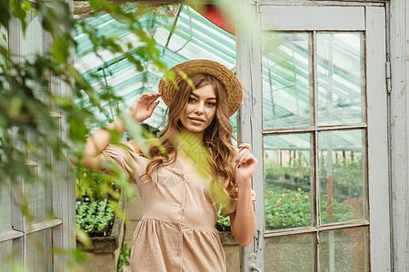 一个美丽的年轻女子在温室里照顾植物 园艺和生态友好型生活方式的概念是 植树造林的理念职业女性爱好农业收获仓库店铺生长农民生活方式图片