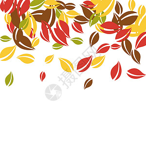 秋天落叶 红 黄 绿 棕C漩涡树叶墙纸生物飞行生态销售坡度植物学校图片