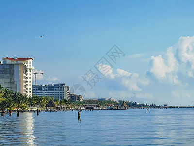 Playa Azul海滩棕榈海景全景 墨西哥坎昆热带天堂旅行码头异国旅游情调酒店假期海岸图片