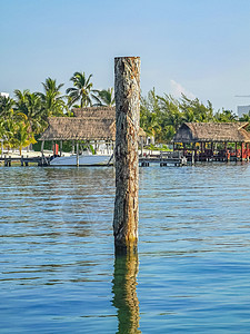 Playa Azul海滩棕榈海景全景 墨西哥坎昆建筑物假期旅行天堂旅游热带蓝色情调天空火烈鸟图片