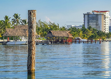 Playa Azul海滩棕榈海景全景 墨西哥坎昆海洋情调异国支撑蓝色天空海岸旅游火烈鸟旅行图片