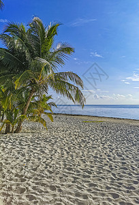 Playa Azul海滩棕榈海景全景 墨西哥坎昆旅游热带天空旅行蓝色建筑物支撑火烈鸟太阳异国图片