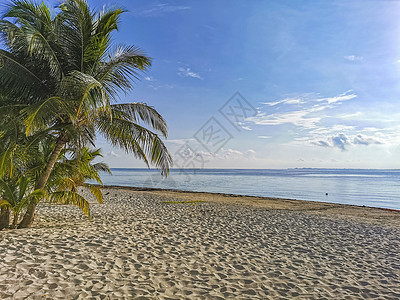 Playa Azul海滩棕榈海景全景 墨西哥坎昆热带码头旅行旅游异国火烈鸟酒店情调太阳蓝色图片