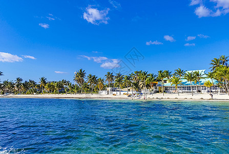 Playa Azul海滩棕榈海景全景 墨西哥坎昆波浪海洋旅行天堂热带假期太阳码头蓝色海岸图片