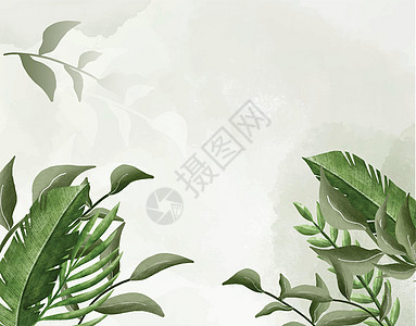 手工油漆水彩画植物背景图片
