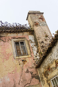 旧的废弃房屋 屋顶上有垃圾堆房子植物村屋生长废墟草地环境屋顶多肉植物窗户图片