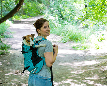 白种女人在户外散步 带着狗杰克罗塞尔特瑞尔 在特别的背包里配件哺乳动物载体鼻子小狗女性自由友谊运输职业图片