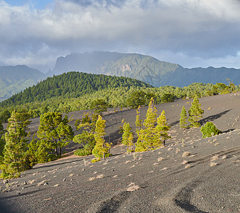 拉帕尔马的拉帕尔马的美丽的熔岩景观火山摄影热带公园林地阳光国家松树蓝色森林图片