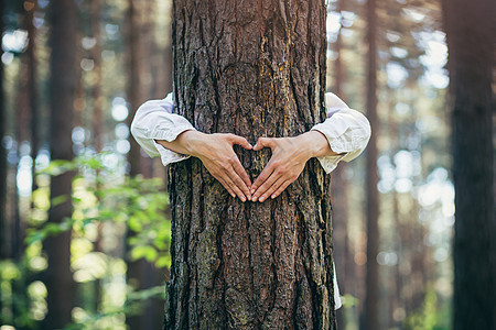 一个年轻女人的手拥抱森林中的一棵树 表现出对自然的爱和心环境热情森林情感手臂生态女孩女性植物生长图片