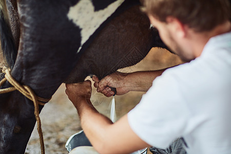 爱护你们的牛群 收获丰厚的回报 重新审视一个无法辨认的男性农民在谷仓里挤奶而拍摄的一张照片背景图片