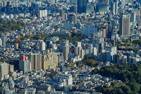 东京市从阳光60号观察甲板上看到观光景点建筑蓝天建筑学天空城市街景建筑群池塘图片