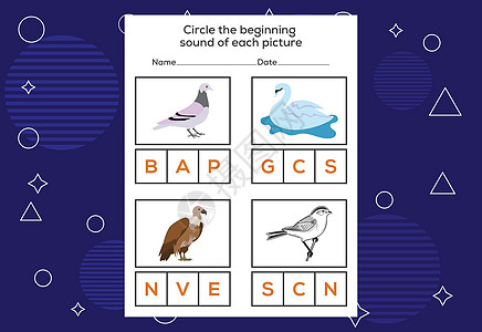 每只鸟的起始声音圈 孩子们的教育游戏 T工作英语工作簿海鸥国家插图鸽子学习紫色翅膀图片