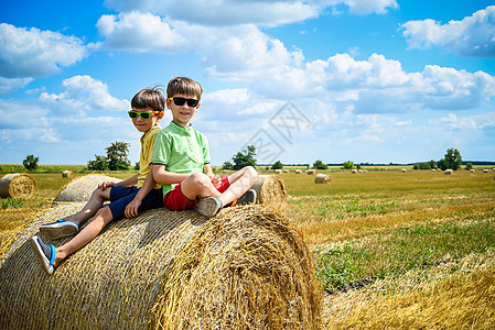 两个小男孩站在圆干草堆中间 田里有圆圈草垛童年农田稻草季节农业太阳享受国家蓝色图片
