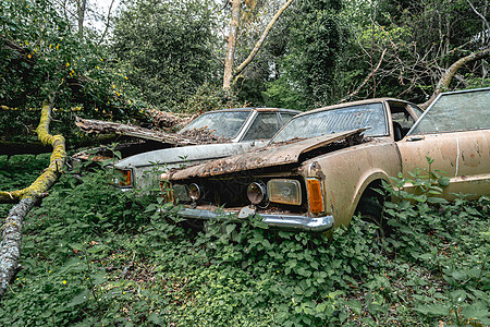 旧遗弃福特汽车探索拆除机器古董运输车辆衰变旅行废料城市图片