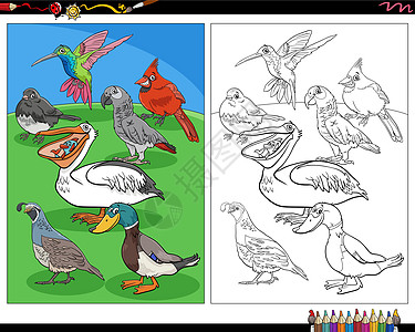 卡通鸟鸟动物字符彩色页面图片