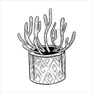 花盆中的仙人掌 大纲手画的草图植物沙漠插图艺术卡通片植物群生态干旱网络线条图片