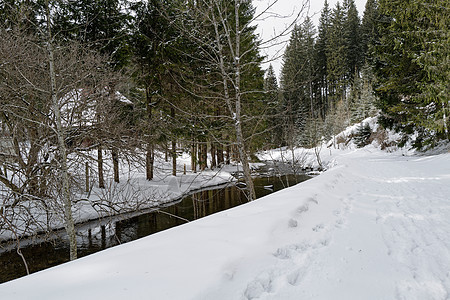 在雪覆盖的风景中 平静的河流图片