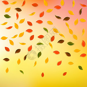 秋天落叶 红色 黄色 绿色 棕色漩涡植物群坡度跳舞飞行学校快乐墙纸植物生物图片