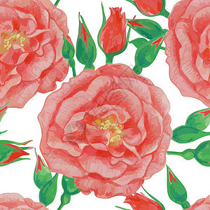 无缝的花朵模式 白色背景上的红玫瑰 大红玫瑰图片