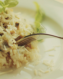 蘑菇饭食谱午餐食物蔬菜烹饪奢华餐厅草本植物食谱盘子饮食图片