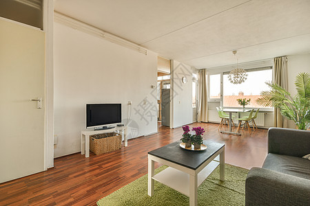 现代公寓中时式的客厅风格日光住宅软垫座位电视窗帘家具地面地毯图片
