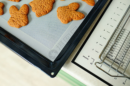 烤纸板上硅酮烤垫上的自制饼干 顶视图 复制空间图片