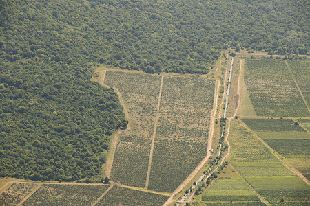 直升机 格鲁吉亚自然和美丽田野的特拉维风景和地貌森林爬坡土地高视角全景旅游天空农业观光旅行图片