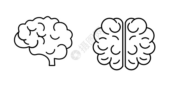 神经病学大脑图标矢量集 用于在白色背景下隔离的网页设计的神经病学大脑矢量图标的大纲集图片