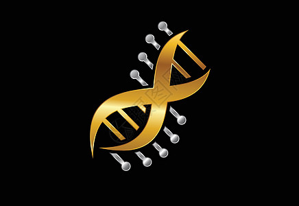 DNA 病媒标识设计模板 遗传物质矢量设计科学药品技术染色体医生基因代码插图螺旋生活图片