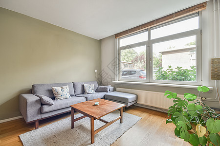 带有时装家具和灯具的客厅地毯窗户住宅木地板装饰沙发桌子长椅褐色风格图片