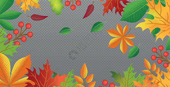 秋红叶和黄叶 网络模板透明背景  矢量卡片边界橙子叶子插图森林植物橡木框架植物学图片