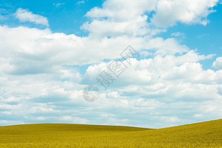 秋天风景 秋天秀丽自然和环境概念公园全景地标天空季节太阳爬坡日落场景农村图片