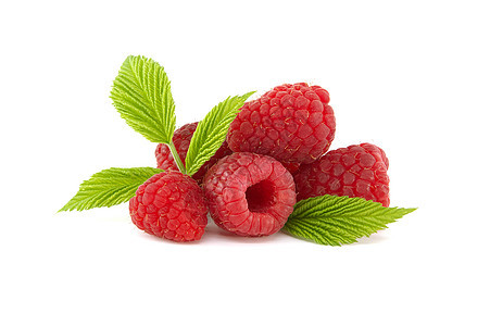 在白色背景上隔离的草莓莓树叶甜点收成团体营养植物小吃美食水果浆果图片
