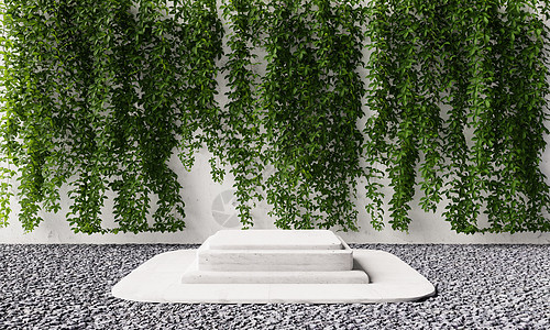 以天然绿色葡萄藤爬行器在后院花园的长尾花园中与影子背景相伴的矩形石头讲台平台 自然和广告概念对象 3D 插图图片
