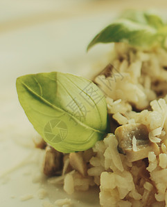 蘑菇饭食谱盘子洋葱胡椒烹饪饮食食物营养蔬菜食谱奢华图片