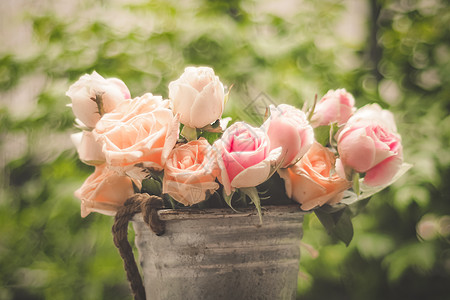 花朵在夏花花园盛开 粉红玫瑰花朵在户外种植墙纸织物粉红玫瑰草地季节婚礼玫瑰粉红色花束花瓣图片